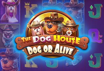 The Dog House - Dog or Alive